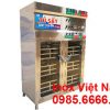 Tủ Sấy Bát Đĩa Công Nghiệp 2 Cánh 6 Khay TS-01